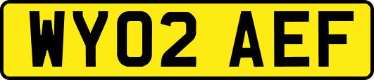 WY02AEF