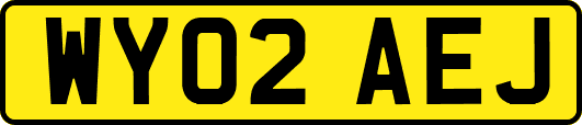 WY02AEJ