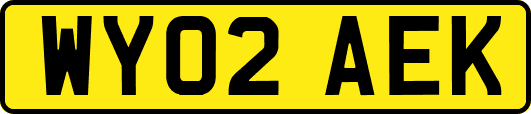 WY02AEK