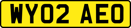 WY02AEO