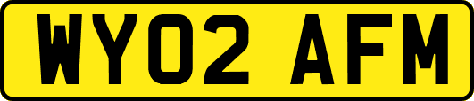 WY02AFM