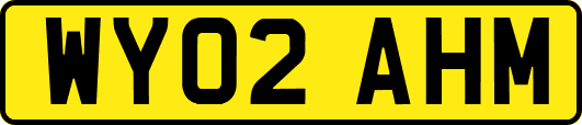 WY02AHM