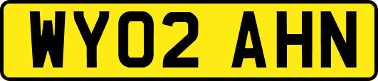 WY02AHN