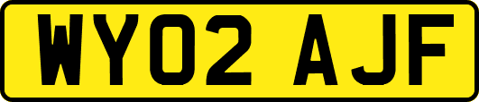 WY02AJF