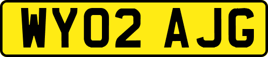WY02AJG