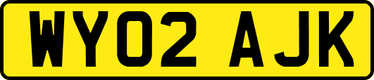 WY02AJK
