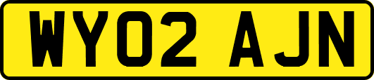 WY02AJN