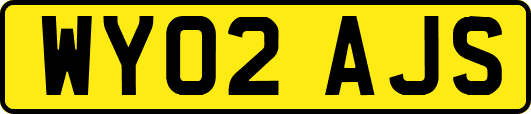 WY02AJS