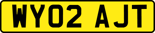 WY02AJT
