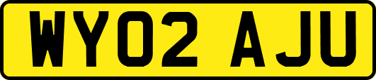 WY02AJU