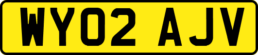 WY02AJV