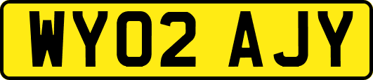 WY02AJY