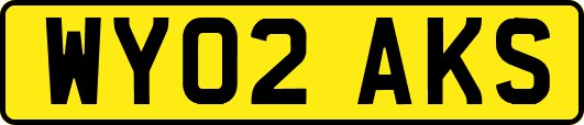 WY02AKS
