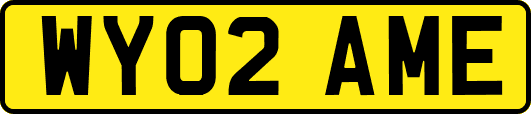 WY02AME