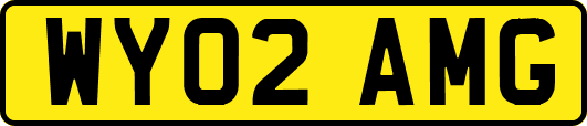 WY02AMG
