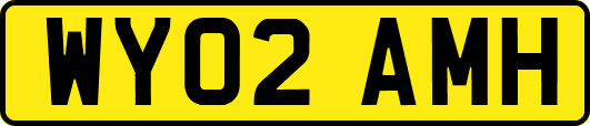 WY02AMH