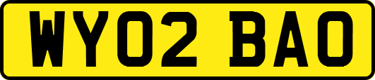 WY02BAO