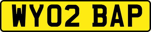 WY02BAP