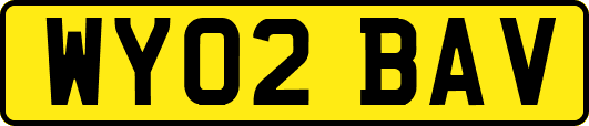 WY02BAV