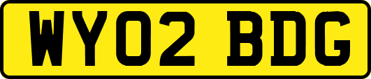 WY02BDG