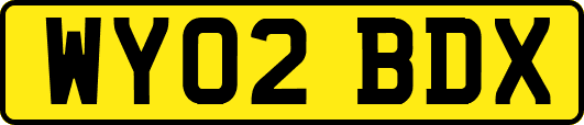 WY02BDX