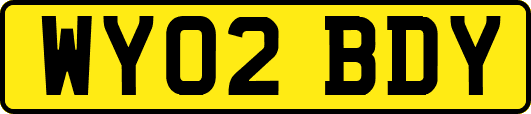 WY02BDY