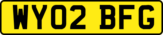 WY02BFG