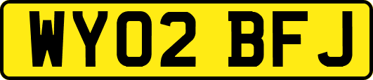 WY02BFJ