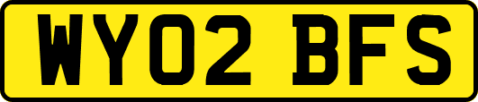 WY02BFS