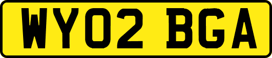 WY02BGA