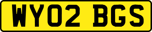 WY02BGS