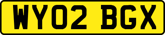 WY02BGX
