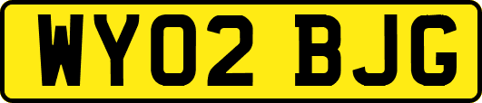 WY02BJG