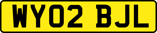 WY02BJL
