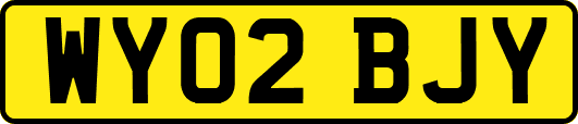 WY02BJY
