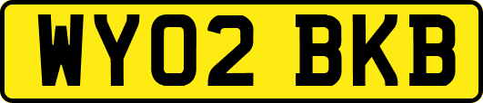 WY02BKB