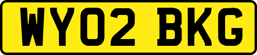 WY02BKG