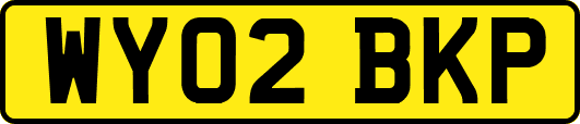 WY02BKP