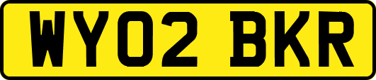 WY02BKR
