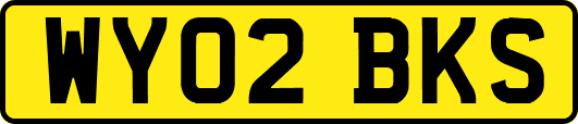 WY02BKS