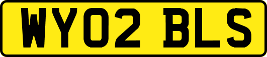 WY02BLS