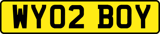 WY02BOY
