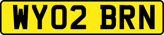 WY02BRN