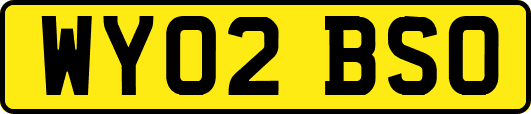 WY02BSO