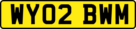 WY02BWM