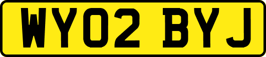 WY02BYJ