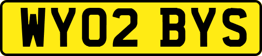 WY02BYS