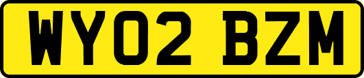 WY02BZM