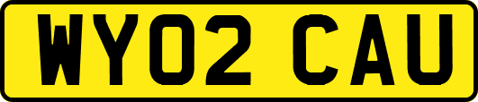 WY02CAU