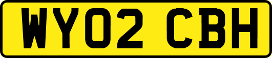 WY02CBH